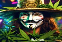 cannabis business social network