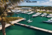 things to do in bahamas nassau