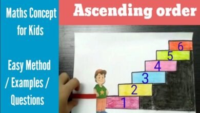 Ascending Order for Kids